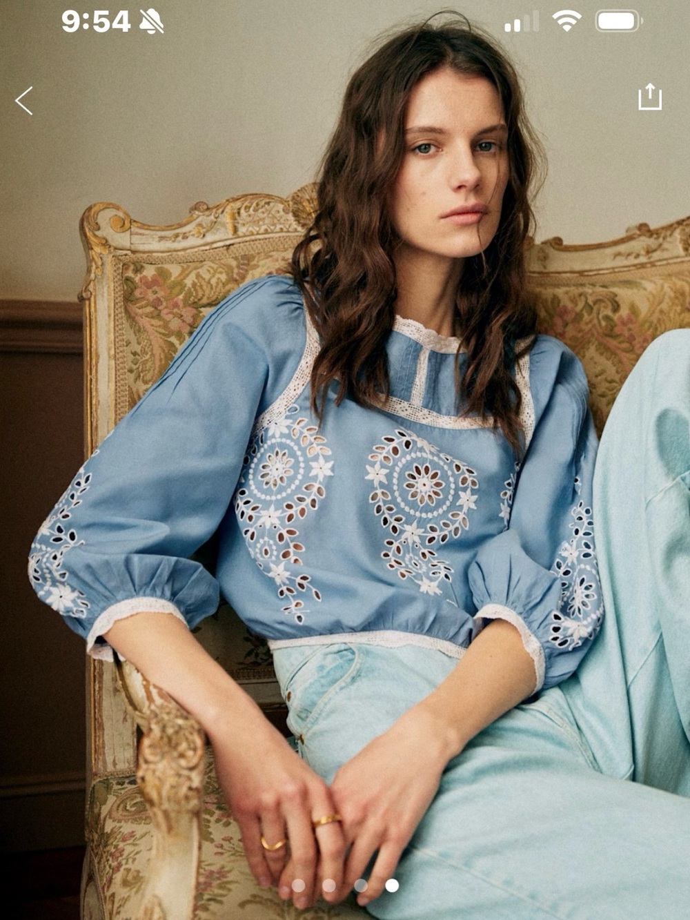Sezane Powder Blue Eyelet Embroidered Blouse